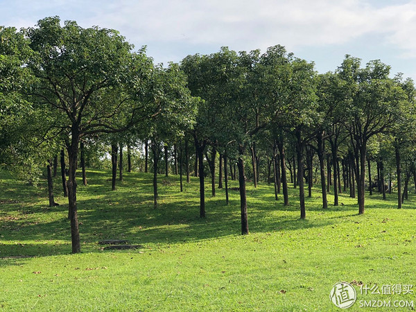 一加6t2023年使用感受,一加手机6t有什么实用的软件