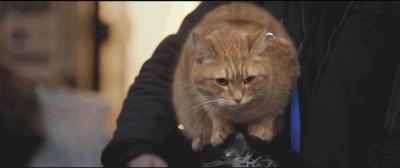 拯救不开心之类电影推荐,十部让人内心平静的电影