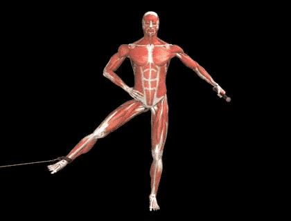 女性盆底健康问题，针刺要扎三阴交，手法要选内收肌