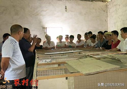 2024年最适合农村创业项目,2018有前景的农村创业项目