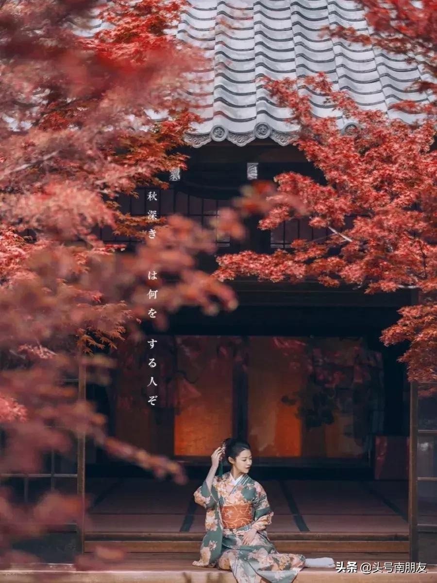 周杰伦说好一起去旅行,周杰伦说好不哭影响力