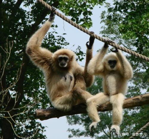 孩子怕黑最佳治疗方法,孩子怕黑心理疏导