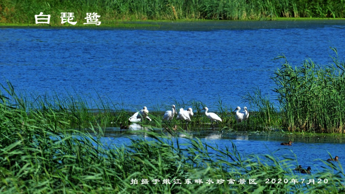 榻愰綈鍝堝皵瀚╂睙涓滄按鐝嶇鍏洯,榻愰綈鍝堝皵瀚╂睙涓滄按鐝嶇婀垮湴鍏洯