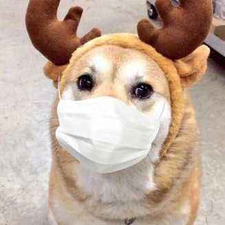 疫情防控的关键时刻,情人节如何度过既不添堵又更有意义?