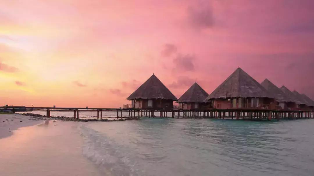 新加坡鱼尾狮公园美景,新加坡鱼尾狮要拆除了吗