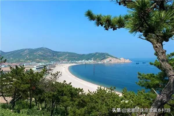 大钦岛俊俊渔家和兴达渔家哪个好,大钦岛观海渔家