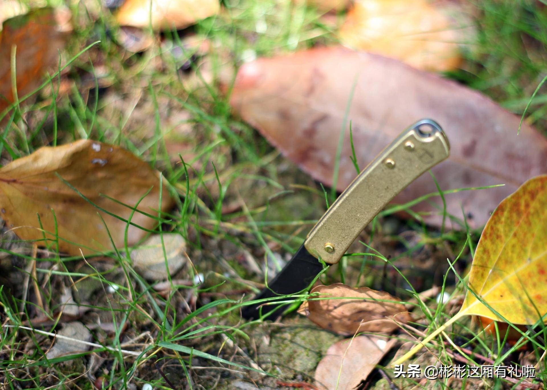 那时时光,那时时光完整版