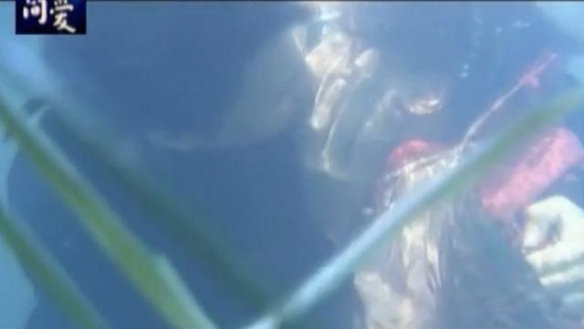 白百何靳东吻戏哪一集,靳东白百何吻戏在哪一集