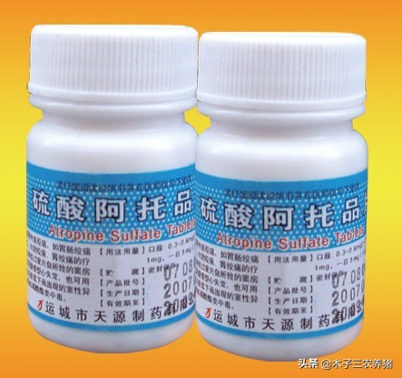 猪中毒的最佳治疗方案,猪打针打错中毒怎样解毒