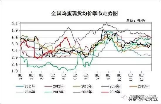 蛋鸡养殖风险大吗,蛋鸡的风险