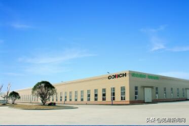 海螺集团2021年世界500强排多少位,海螺中国500强排名