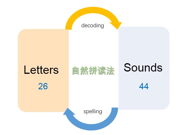 自然拼读神奇吗,自然拼读你必须知道的