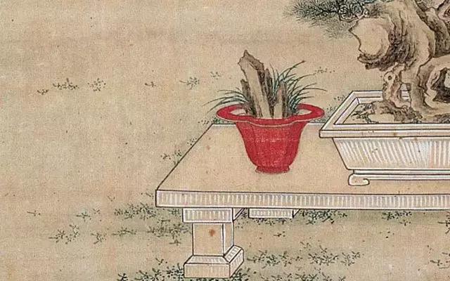 菖蒲:神仙之仙草,文人之雅草。