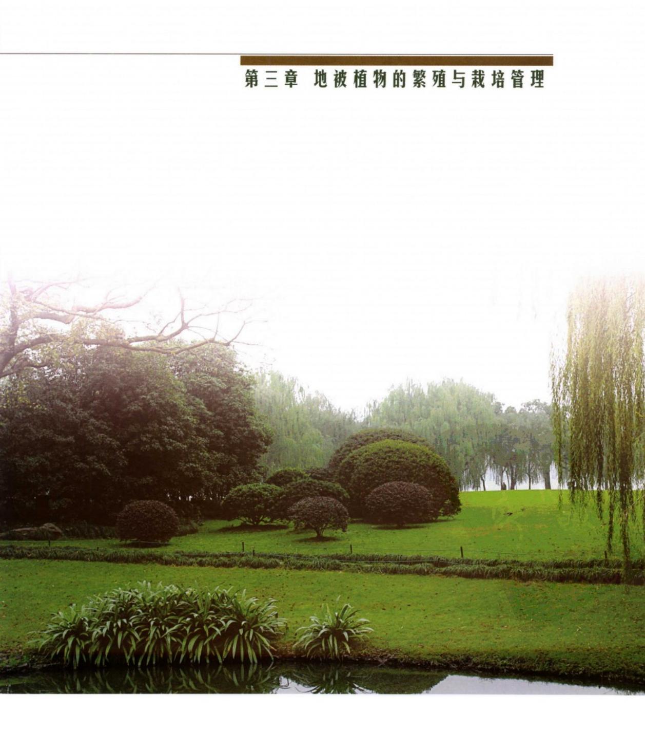 地被植物景观配置,优良地被植物