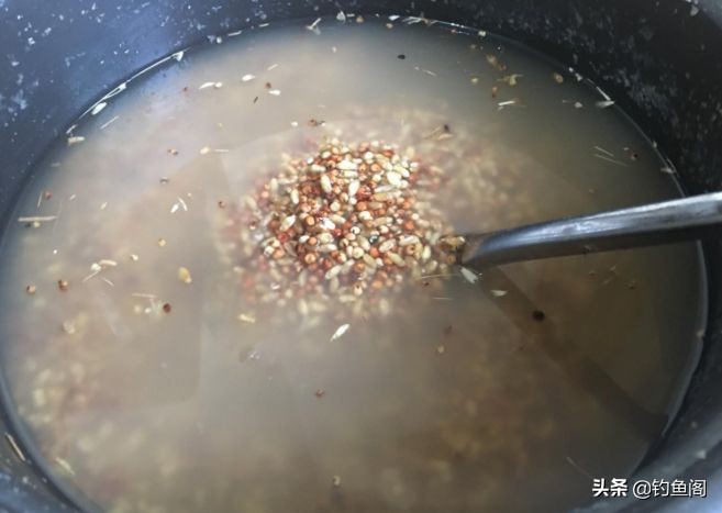 玉米钓鱼需要注意什么,玉米钓鱼不打窝能钓上来吗