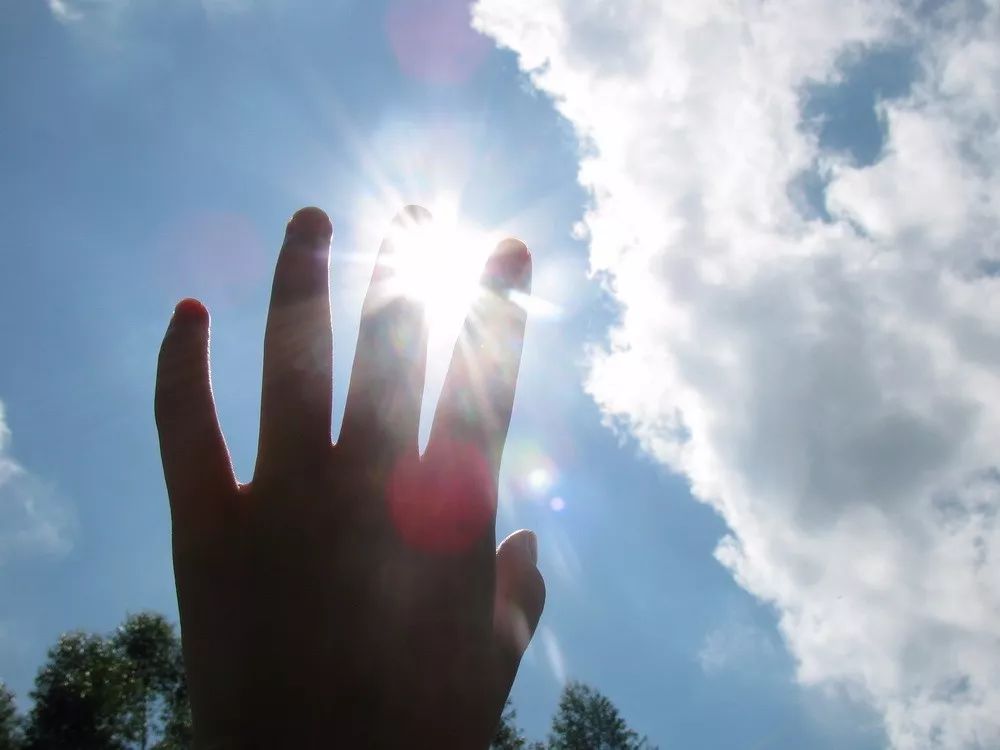 2019年抖音最火歌曲的歌词,抖音即将最火的三首歌词