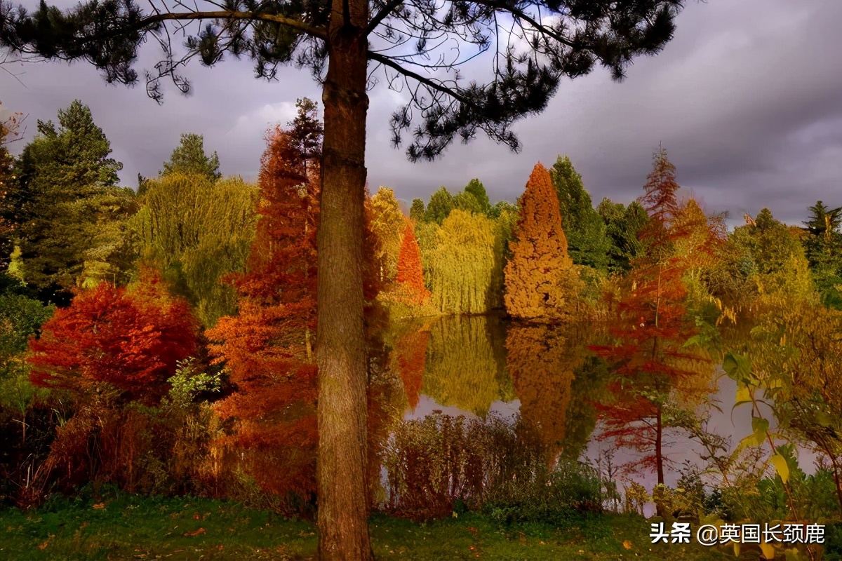 英国秋天好去处,英国秋天旅游必去的地方