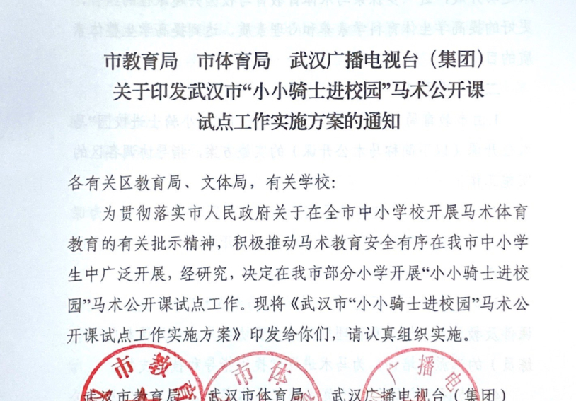 马术进入校园,马术进校园需要什么条件