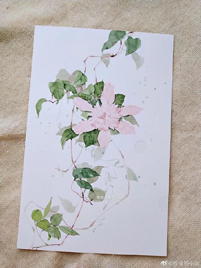 分享一组好看的小清新水彩插画,不来看看简单水彩小插画的教程吗