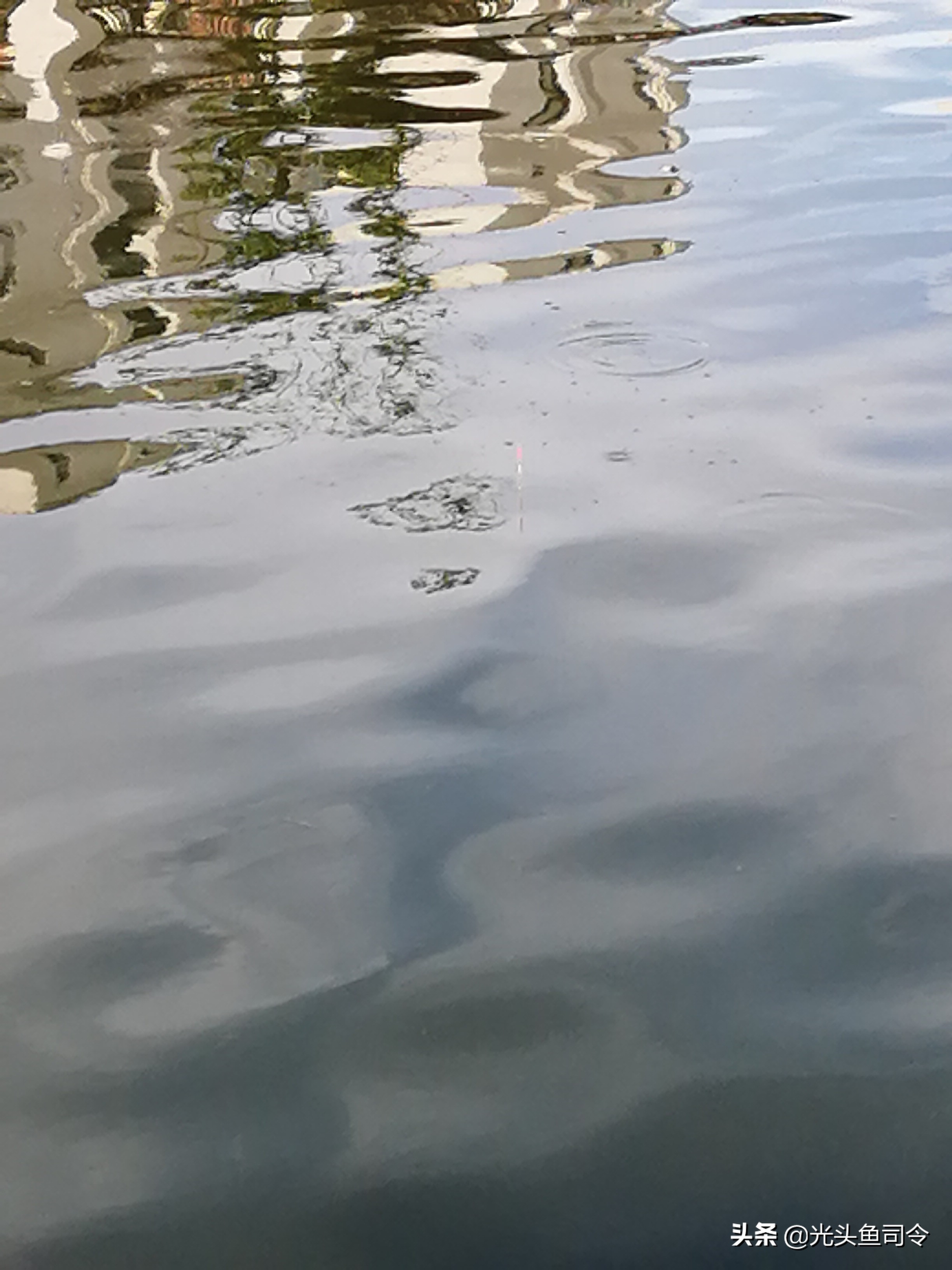 野钓为什么没有口,野钓为何没口而且顶漂