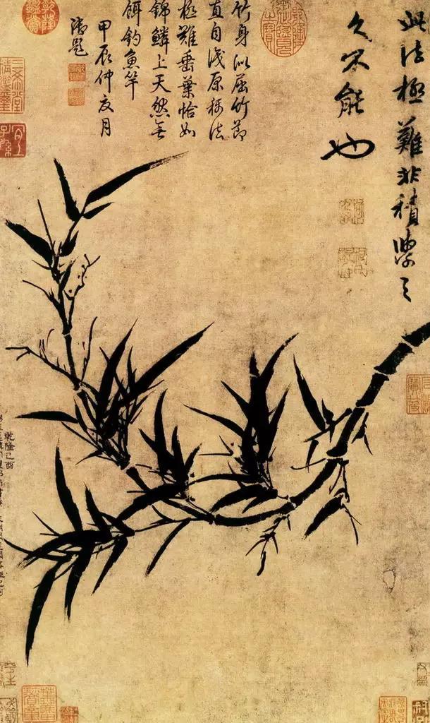 郑板桥画的是什么品种竹子,郑板桥画的横幅竹子