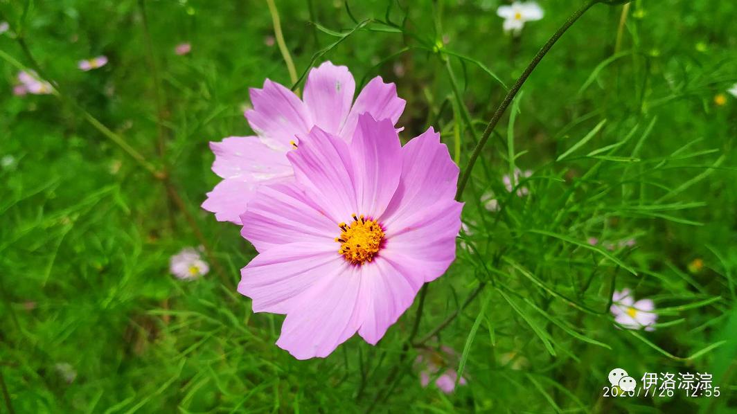 感谢辅导员对孩子的精心付出,孩子感恩遇到你的教练
