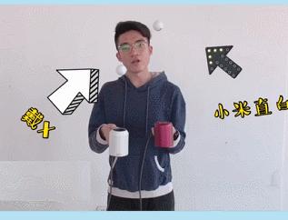 国产东方戴森价格,国产戴森测评