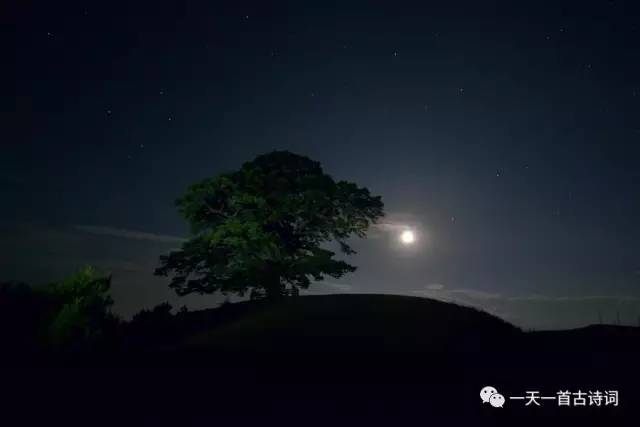 花好月圆诗原文,有花好月圆的古诗十首