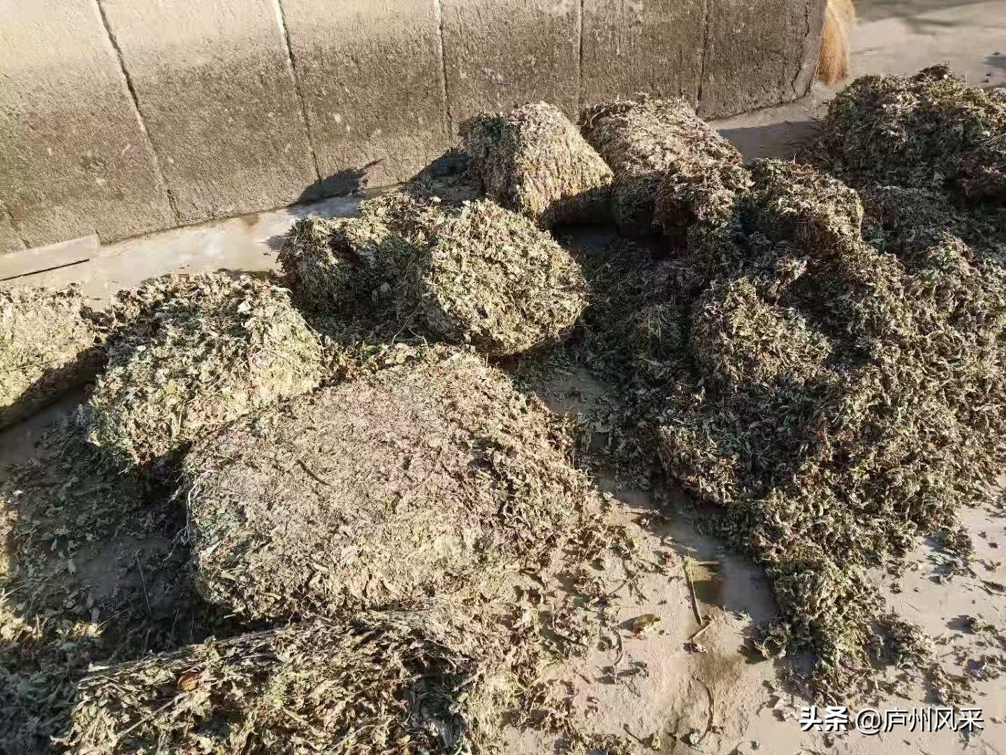 王氏三槐堂简介,王氏三槐堂濉溪