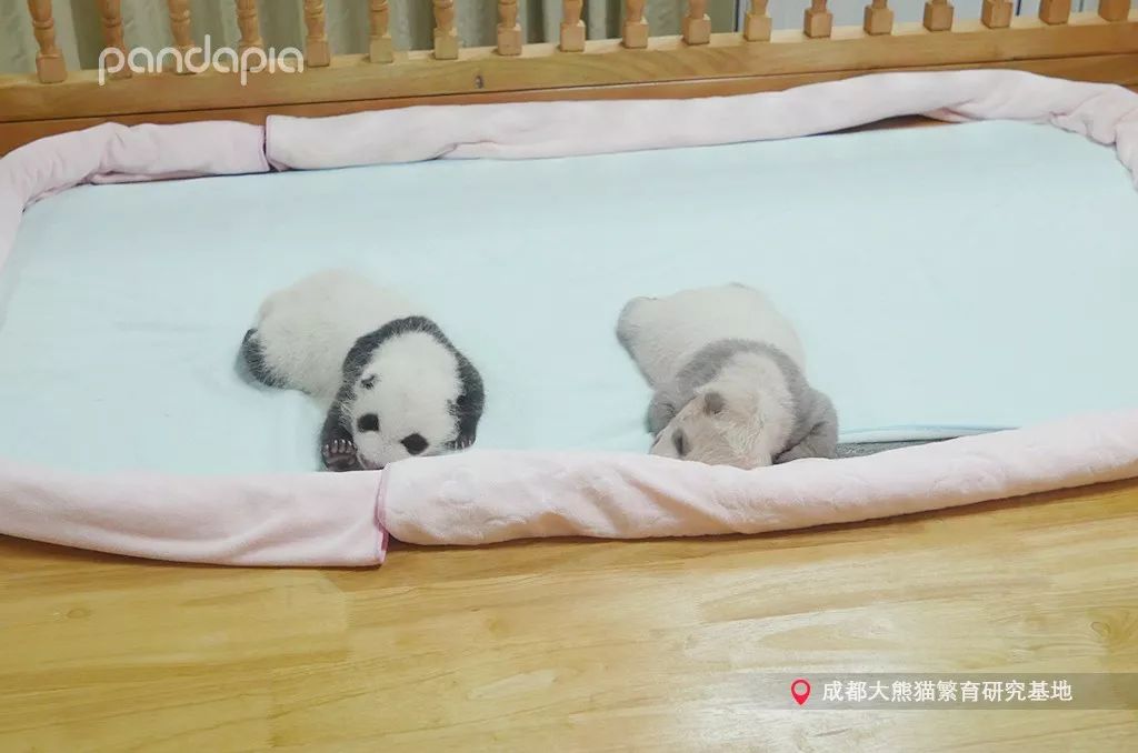 冬天就是要拥抱,冬季拥有温暖的抱枕