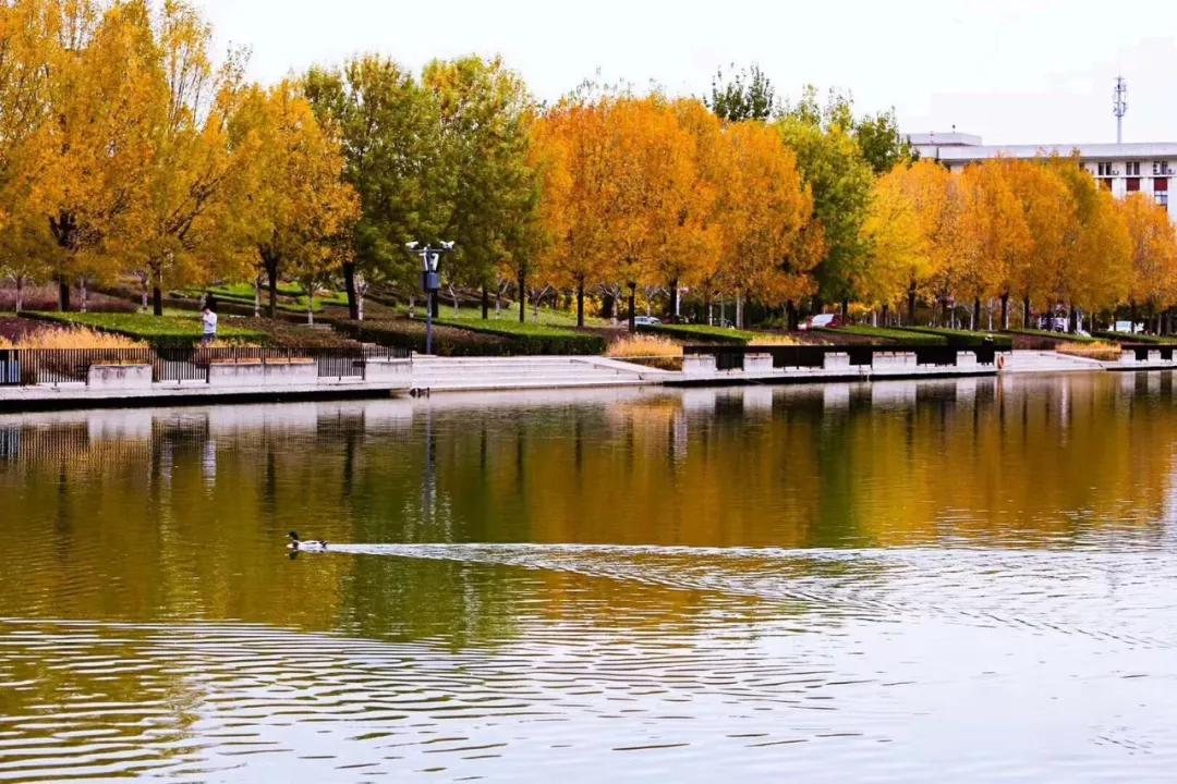 天津普通本科的大学,天津普通高校多少所大学