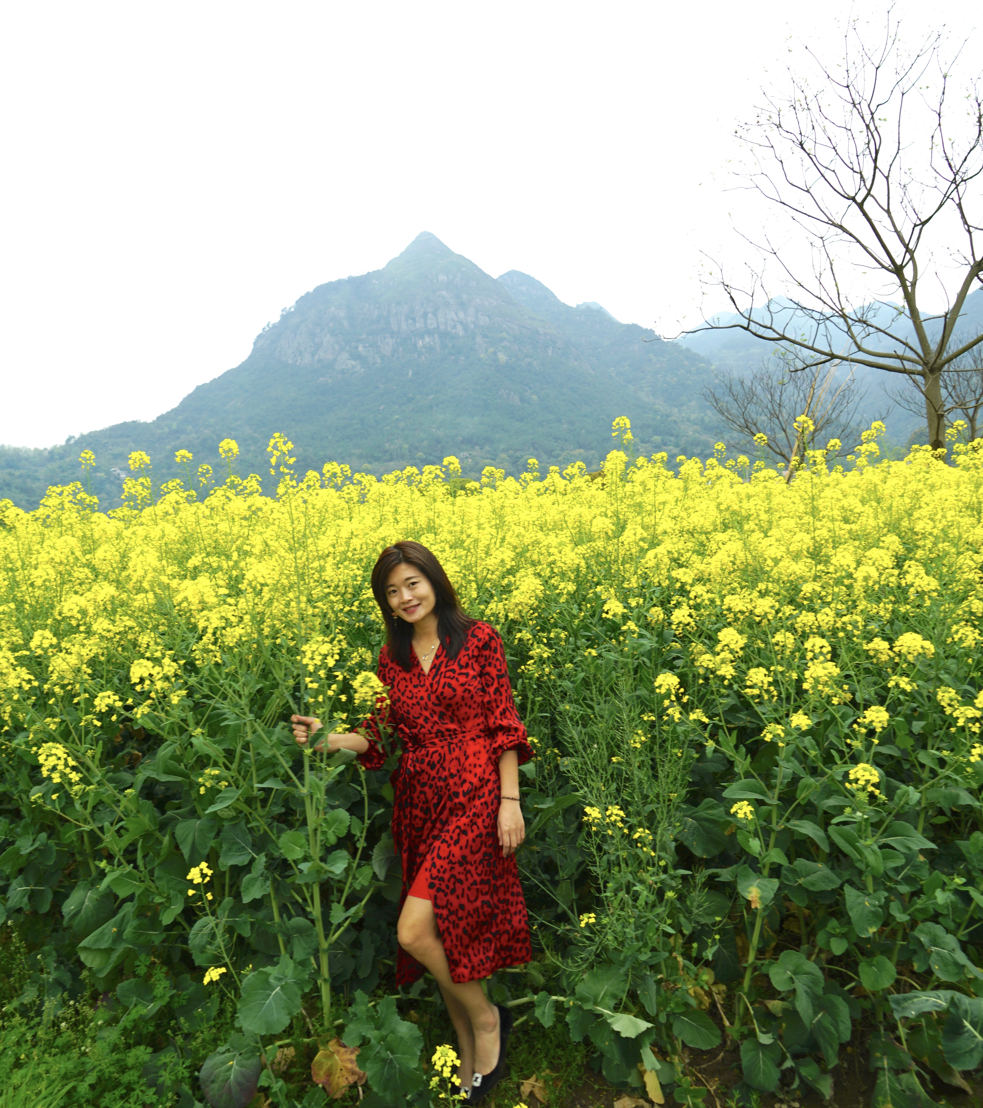 中国308家5a级景区最新最全清单,最新全国5a级景区全部名单