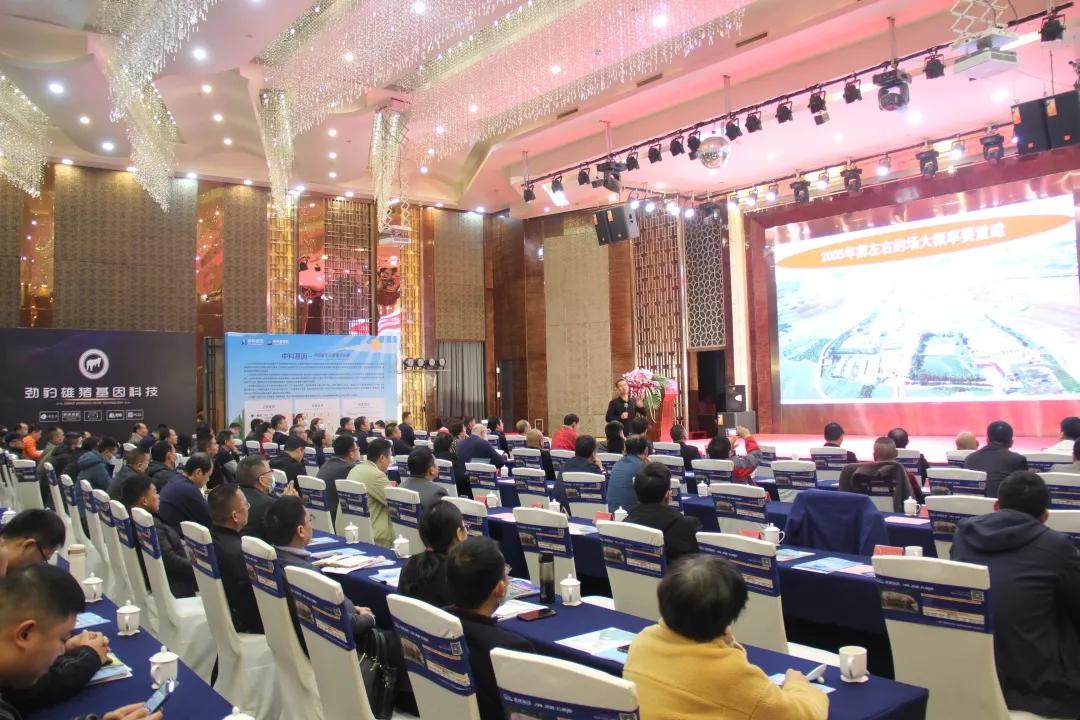 收官之战启动,收官之战即将打响