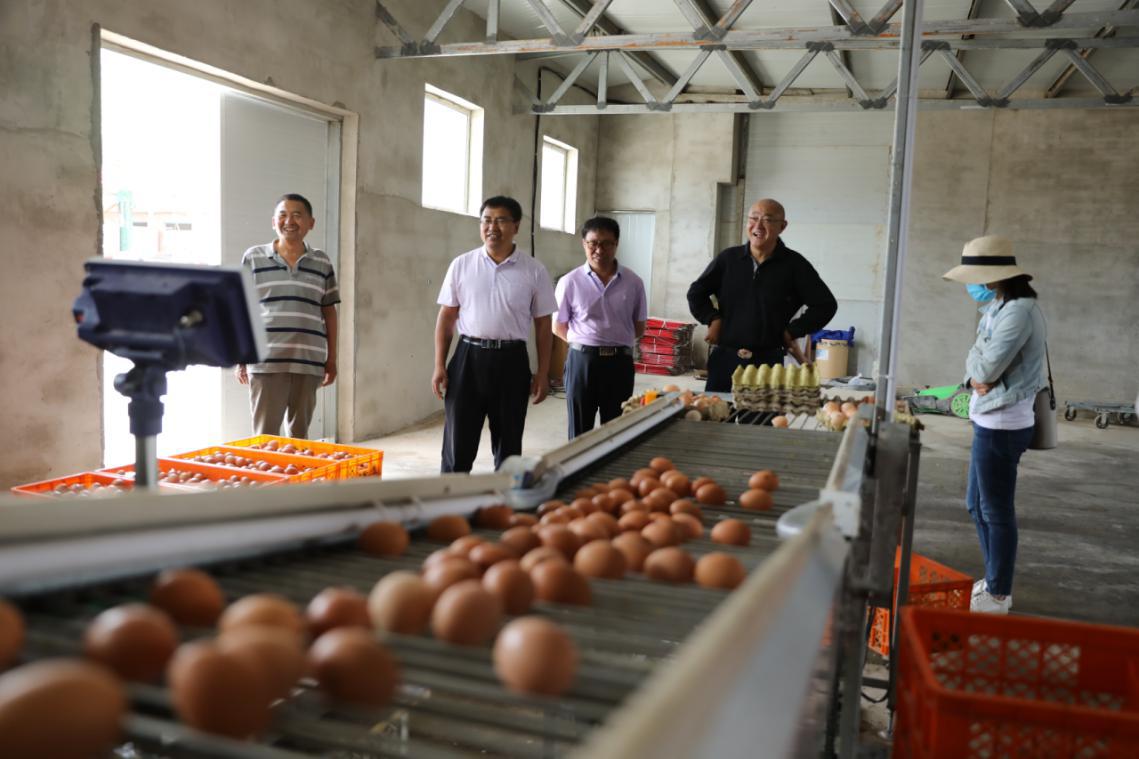 舌尖上的赤峰篇,舌尖上的赤峰美食篇