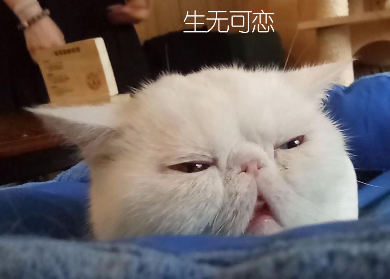 现在谁家还有砖铺的院子,谁家有铺地板砖的