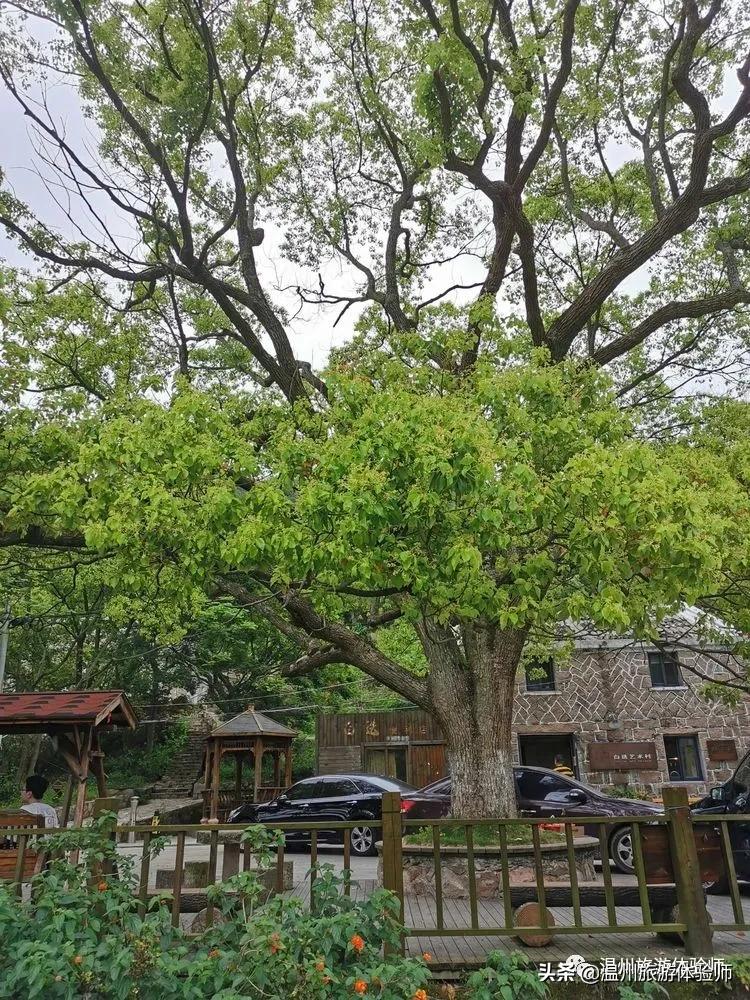 洞头桃源里,温州洞头玖栖海上桃源里