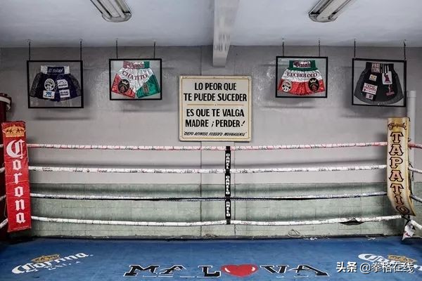 鲁伊兹tko约书亚,小鲁伊兹tko约书亚