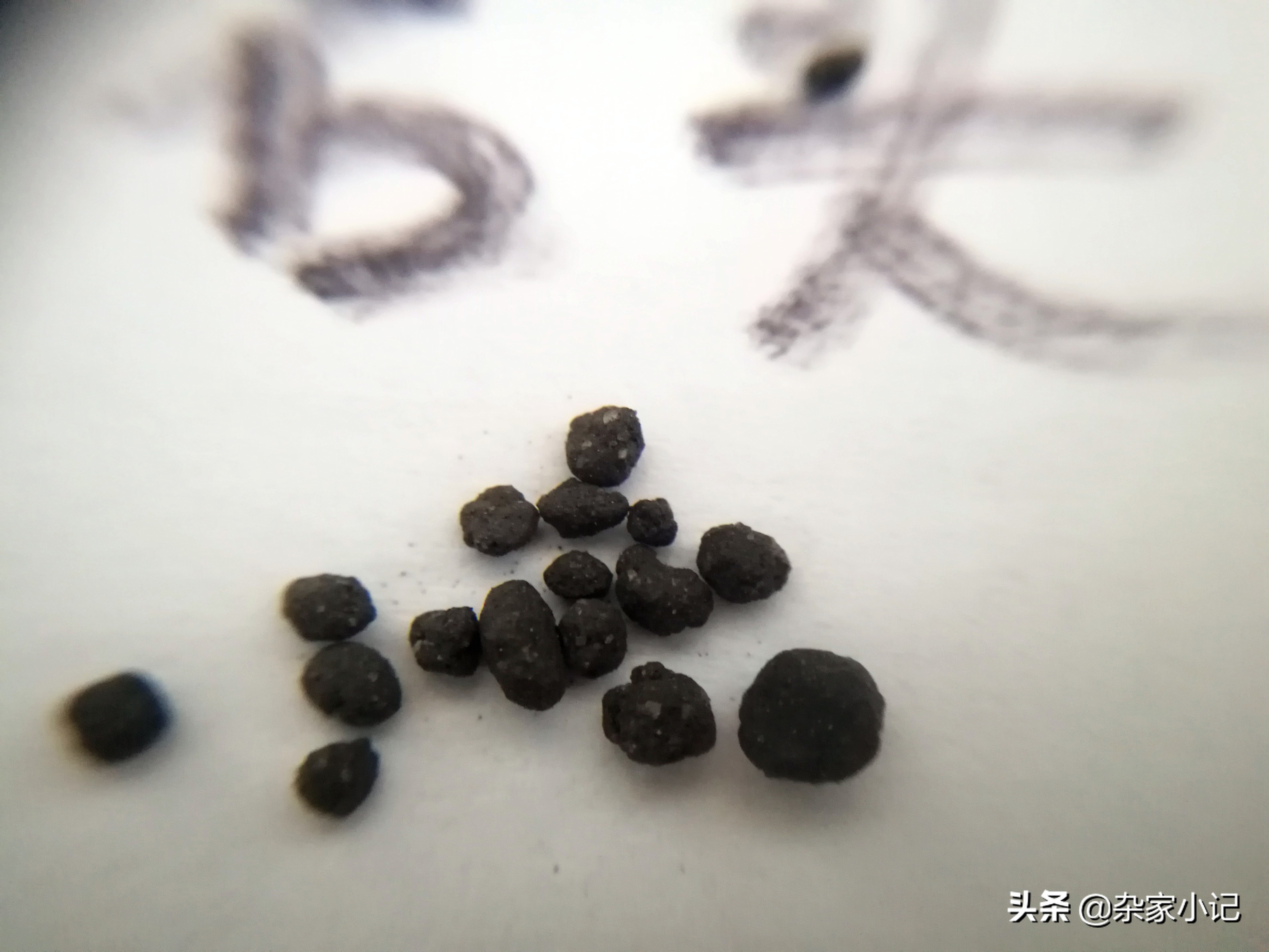 疯狂石头水草泥,疯狂的石头水草泥口碑怎样