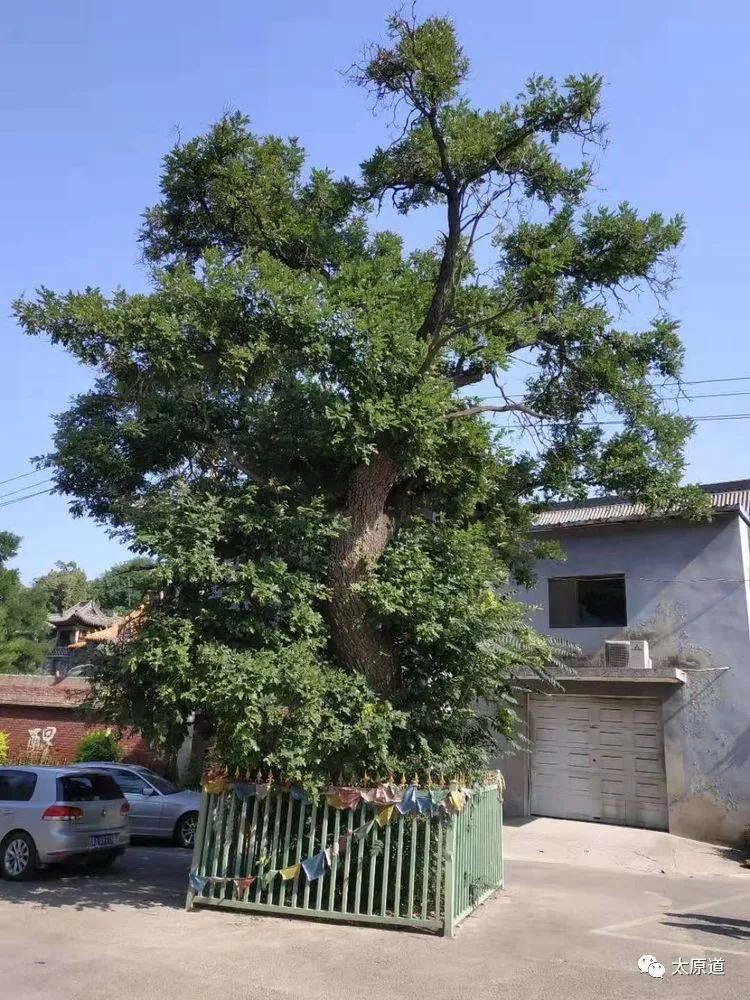 太原南十方白云寺开门了吗,太原南十方白云寺地址