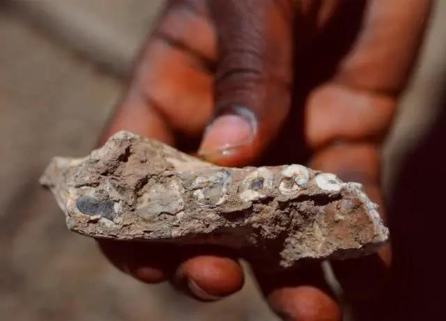 同在非洲，为什么摩洛哥人不是黑色皮肤？非洲人是哪个人种？