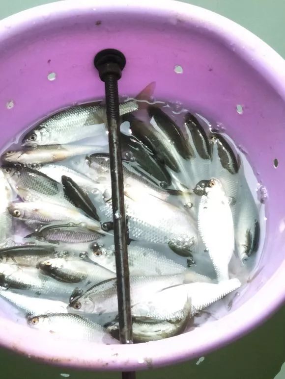 娴峰矝鏈ㄧ瓘婕傛祦,娴峰矝閽撻奔鎺㈤櫓