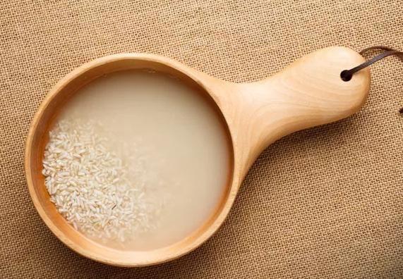 绿萝的叶子不是很绿是什么原因,绿萝的叶子喷什么让它更绿更亮