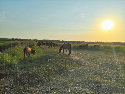 包头五一附近自驾游的景点,包头到陕西旅游景点自驾游