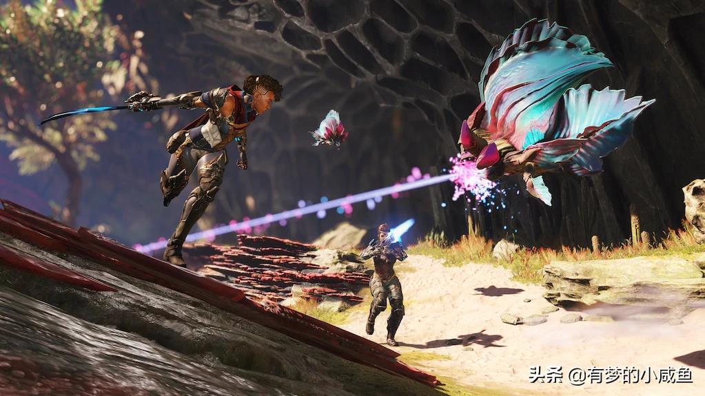 crucible游戏为什么进不去,crucible免费游戏