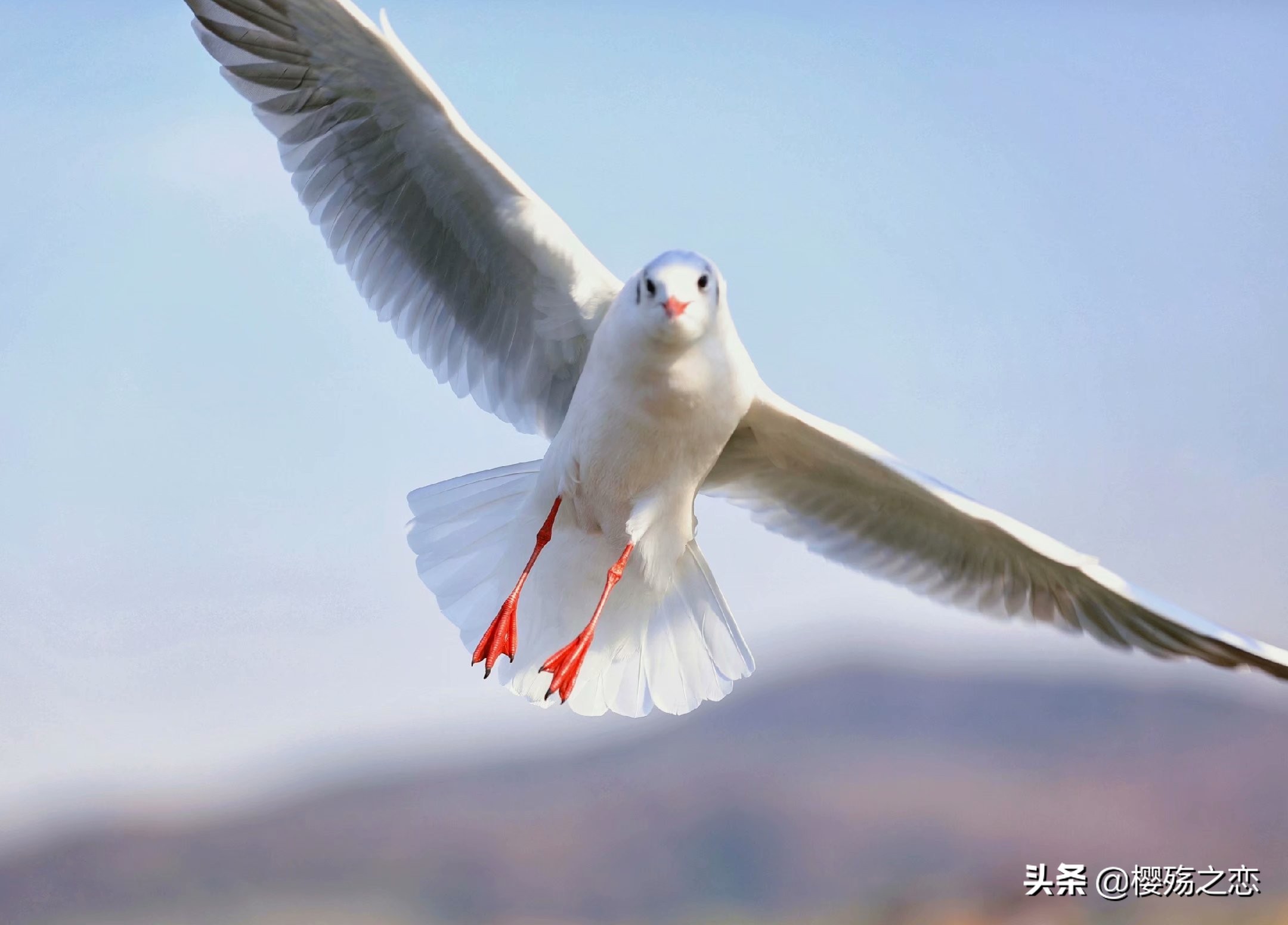 无锡横店影视城,无锡影视城与横店影视城对比