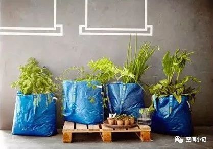 给家里添个新物件,宜家值得买的小物件打奶器