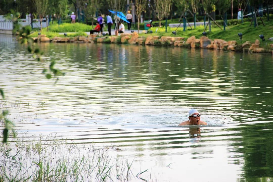 一图看懂新楼盘,开封楼市观察