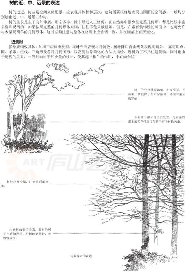 儿童绘画涂色基础入门教程,零基础新手绘画入门教程