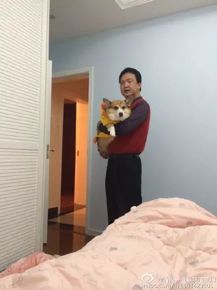 冲动下养猫，你和你的猫现在是怎样的生活？
