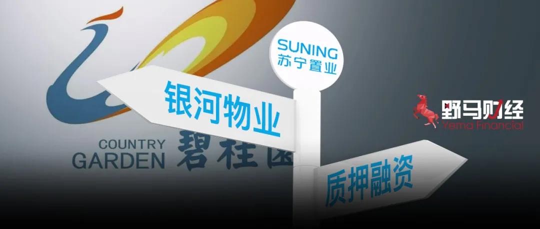 苏宁张近东“质子求生”，碧桂园杨国强“借船出海”？